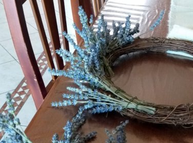 IMG-20190620-WA0075.